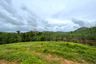 Land for sale in Tha Yu, Phang Nga