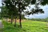 Land for sale in Tha Yu, Phang Nga