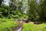 Land for sale in Si Sunthon, Phuket
