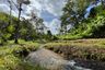 Land for sale in Si Sunthon, Phuket