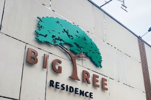 Big Tree Residence