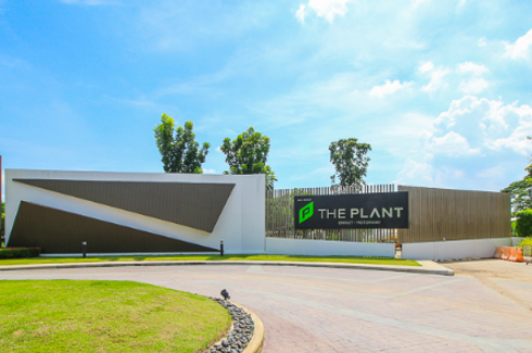 The Plant Onnut-Motorway
