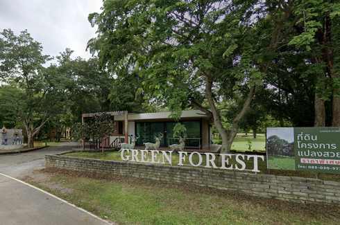 Green Forest Khao Yai