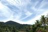 The Tree Madauwan